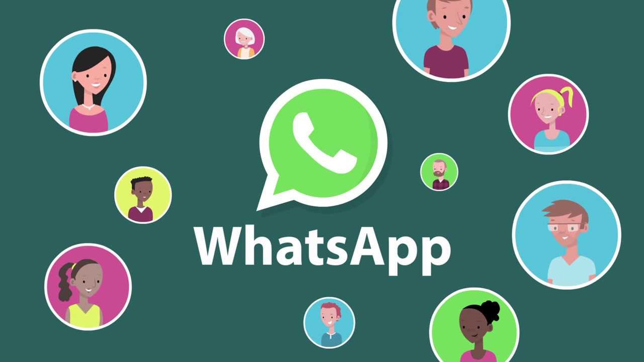 pakbuck whatsapp app download
